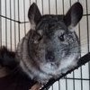 RenamedUser_46241476