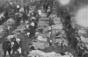 8810660li1.gif