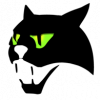 Кошка.png
