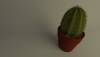 кактус2.png