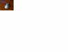 мышка2.png