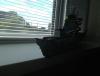 IMG_0199r.jpg
