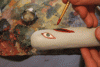 IMG_6483.gif