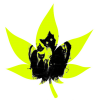 137.png