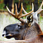 RenamedUser_66602178