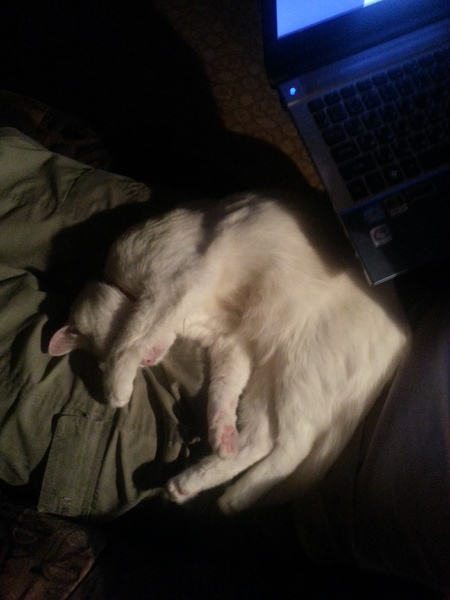 20121129_175827.jpg