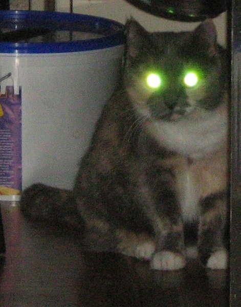 59d8f71889d71_153.thumb.jpg.d4f90c2fdcb565599d82d81800c57dcd.jpg
