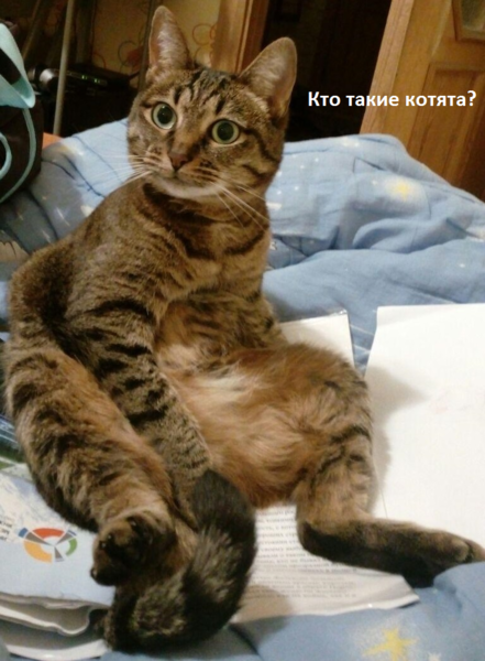 59df52f77d779_.thumb.png.c1f93aa8b7c19e1d9e4ce6d9ca4c7494.png