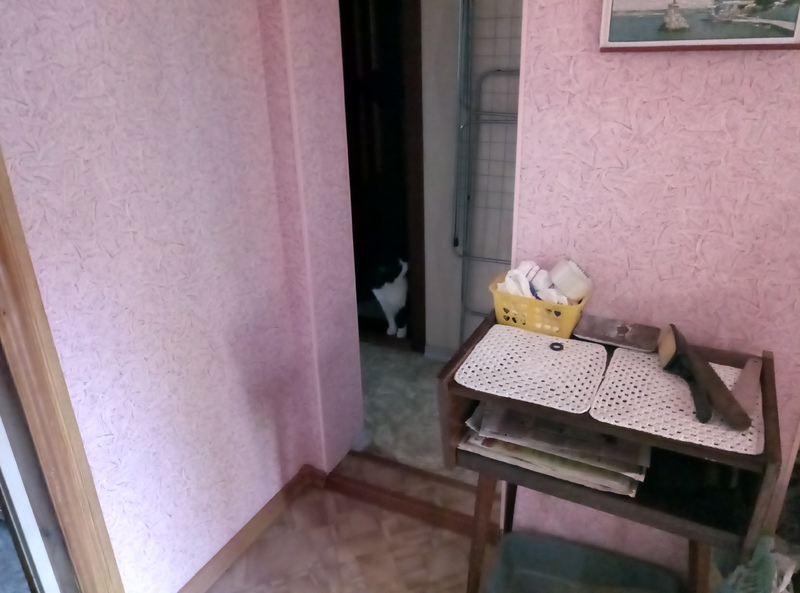 P70930-121716.thumb.jpg.ff6f78f6b13d92f69c4db29e86de7e78.jpg