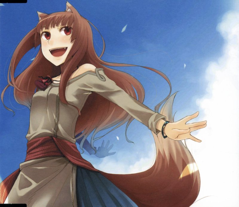 animepaperscans_spice-and-wolf_cpxmay115_1605x1391_166604.thumb.jpg.a256693850c964888b534c911117b607.jpg