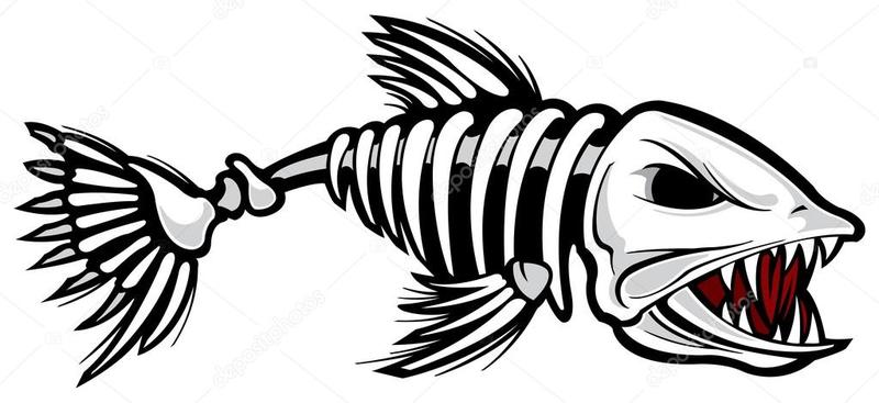 depositphotos_21667061-stock-illustration-fish-skeleton.thumb.jpg.35d88d48033d85166542374e57b2b3f6.jpg