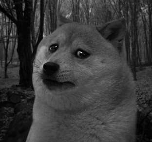 5a0a1c64ddfdd_--.jpg.5444da3fd2059660d5c205a89d7c0261.jpg