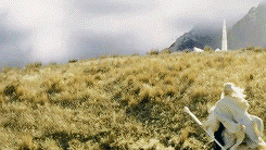 5a0d3be4985ed_giphy(15).gif.30f58a534fa48d6912263c530090dbe0.gif