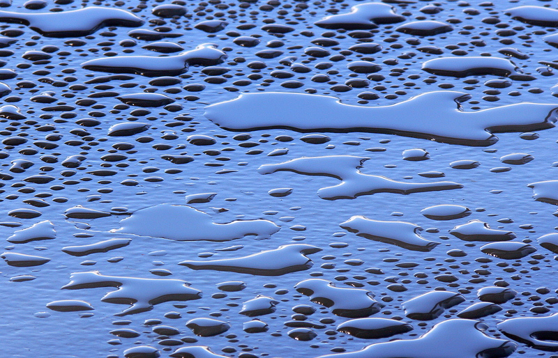 Exploring_new_continents_1200728.thumb.jpg.f02f53784d5284a705cf81eadf6613df.jpg