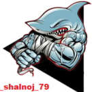 _shalnoj_79