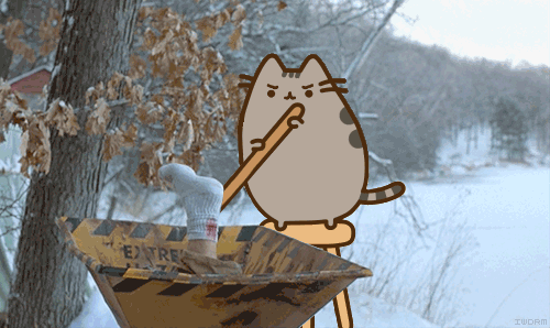5a420e81e2656_-------pusheen-2017915.gif.db0c1cf816d93966d8af3d416cbc4631.gif