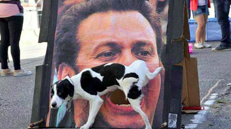 ulitsi-moment-dog.thumb.png.5329bf4caca28ec39f3a20e4d7ba4261.png