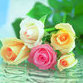 RenamedUser_89949035