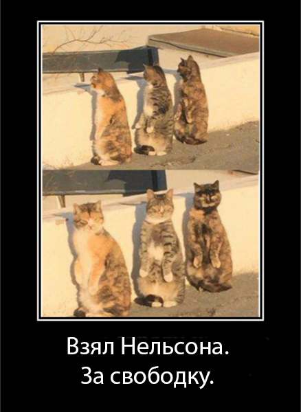 5a71829bcc58f_.jpg.c49b2da339c8c39a5281c8d1189acbb8.jpg