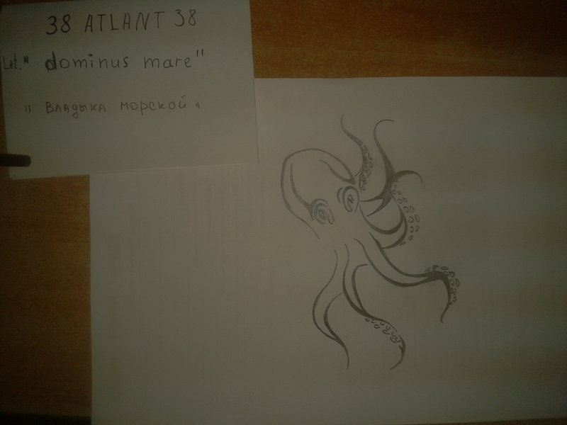 2018-02-28 12.31.45.jpg