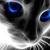 RenamedUser_33982435