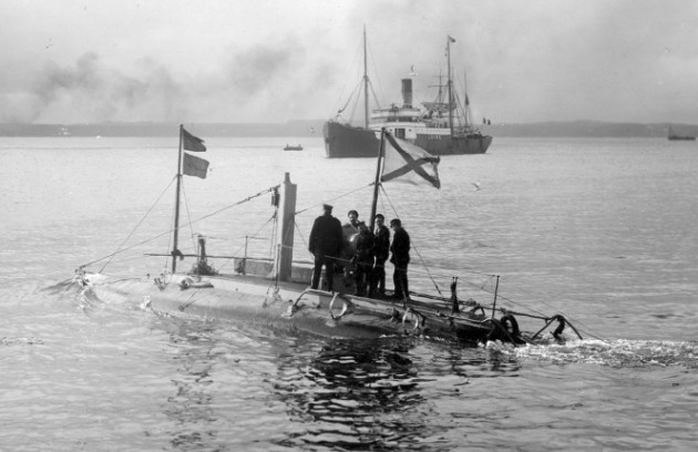 5a9fc2076128d__Delphin4.jpg.bf0b6816096ccf705375723518a73210.jpg