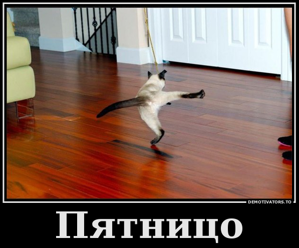 image.png.4f98cd3e536773772897d42c5cbe95a3.png