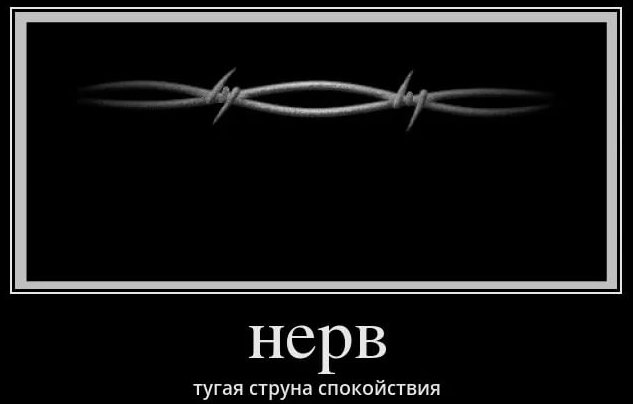 image.png.727770fab78a2e50b4002ec8b943b294.png
