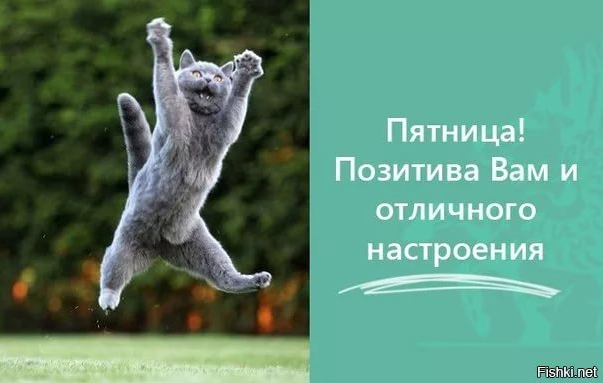 image.png.fdbc6ea335e6eccb98bf95d2701e14c1.png