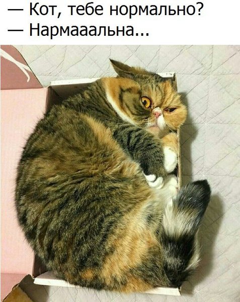6K0dSC5vWk4.thumb.jpg.b1e74552d80f97c2948551f7c2dd3ce1.jpg