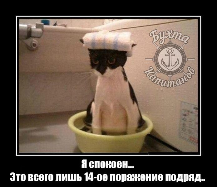 F5bzuySMBXk.thumb.jpg.cadf9b002bb123a70717f07e1140730b.jpg