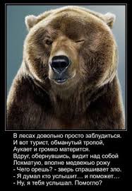 5af02b48ce9e8_.jpg.e0c07cecaa3797d9d43f629bf3530a9c.jpg