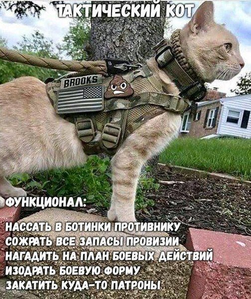 582dd116d9a15c75fe8b8bb6848d8ca2.jpg
