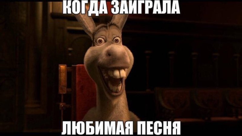 h-29381.jpg
