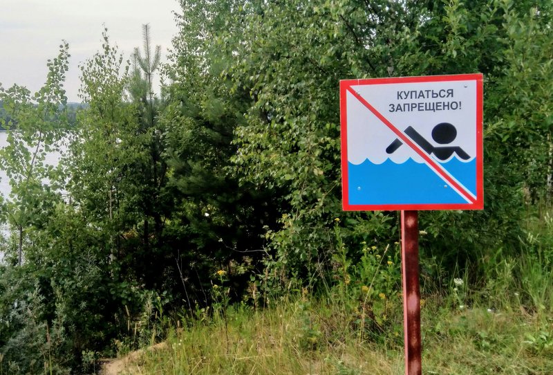 _20180721_102615.thumb.JPG.ab00a36d608886074f025be3e8c165ee.JPG