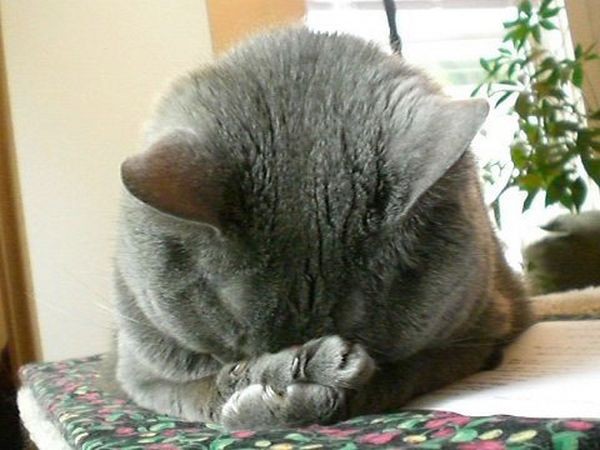 1369127479_2b8a321b7a140de44babe766c1d249ae.jpg.f1404acc673af669ca6c0ad93de07980.jpg