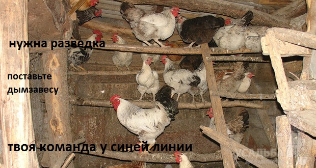 2.jpg.e01d273d25d943144a3cf0963bb388fd.jpg