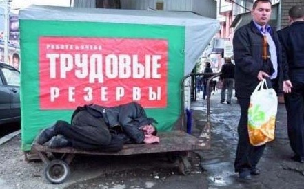 5b6d6caa61e4e_.jpg.0db388e03481035470a309c1a90cb3c1.jpg