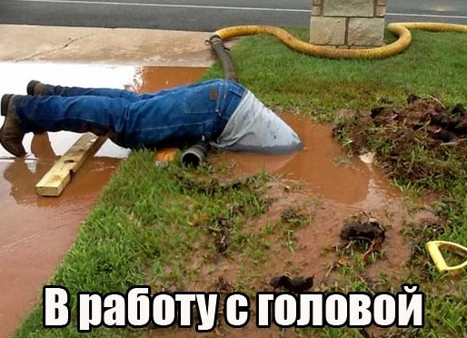 5b6d707035a86_.jpg.ad009505884eb80b8ef55e760544ab80.jpg