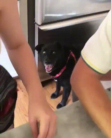 5b7fce6a0d21a_--4632809.gif.f4d57f18036351c483fde2d486cade78.gif