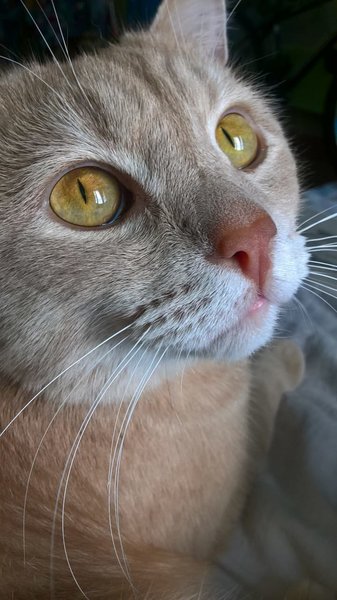 IMG-20180830-WA0004.thumb.jpg.3bc045616968f963061aad6ae956c54c.jpg