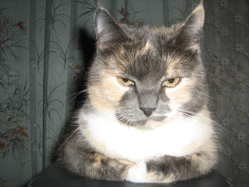 IMG_1218.thumb.jpg.29d2bfb5b934ad5bcb3a89c045de630c.jpg