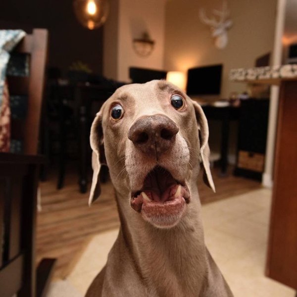 image.thumb.jpg.233f5eeee68f2c0ffb284b224cf6b148.jpg