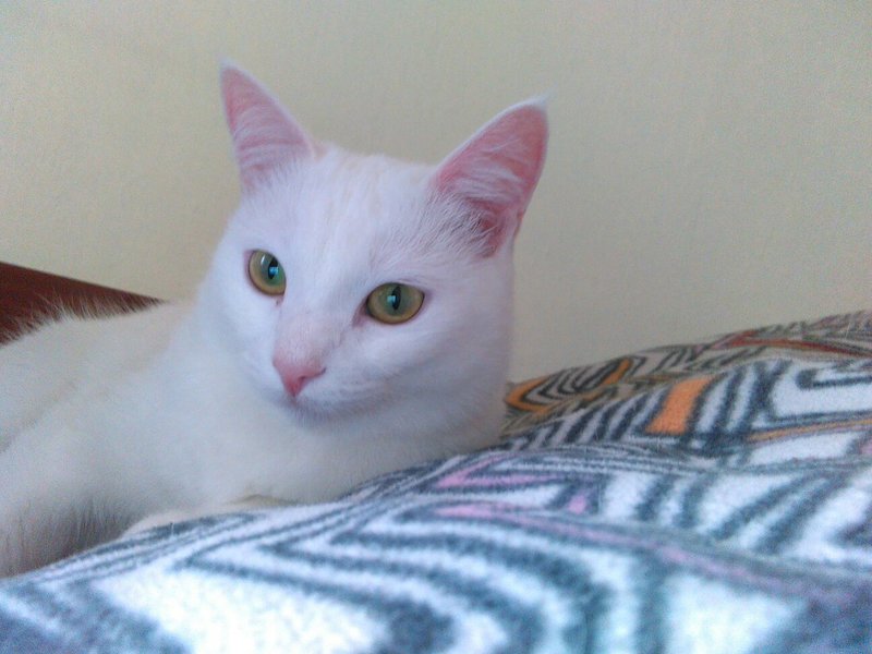 qCPK_1jvtXM.thumb.jpg.5cb7c9b91aae3ab3b10228fdc25f2c45.jpg
