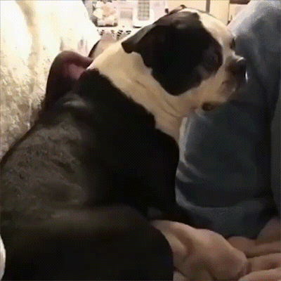 video21212.gif.364e8aa0cb7bcc9562cfddc3c162ae1e.gif