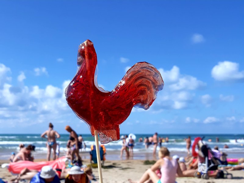 20180910_101515.jpg
