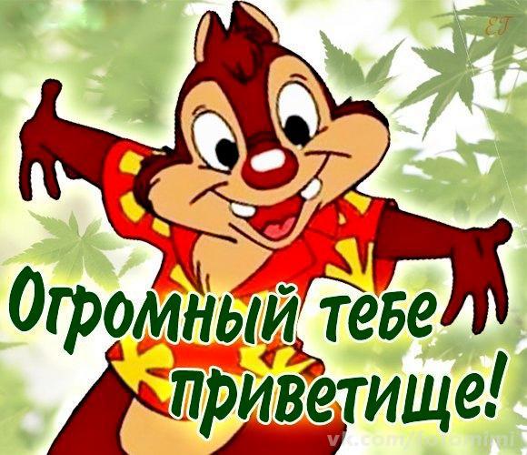 48723608414664dfea3a8286bf269c4b.jpg.9e8a800391ea7ce9f10a708bb2a0f08c.jpg