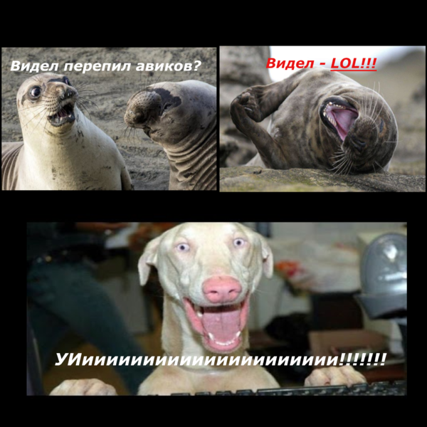 Без имени.png