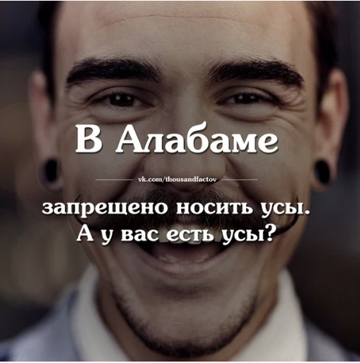image.png.bfbc303d91150503429d854dc768dce2.png