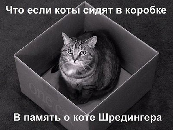 012018-10-8-12_6_16.jpg.cb089a16ea78d8a83a92630e5e753d59.jpg
